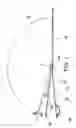 Fig. 02 - Barbecue utensil