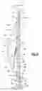 Fig. 05 - Adjustable lumbar support for vehicle seat