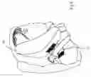 Fig. 04 - Adjustable infant head support