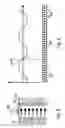 Fig. 06 - Electric machine