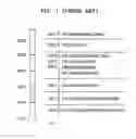 Fig. 02 - Plastic substrate for display panel and method of manufacturing the same