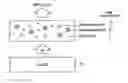 Fig. 01 - White light emitting device