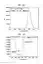 Fig. 06 - White light emitting device