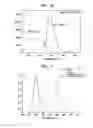 Fig. 07 - White light emitting device