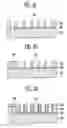 Fig. 03 - Electron emission device and its method of fabrication, and electron emission display including the electron emission device