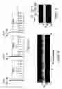 Fig. 04 - Motion compensation for magnetic resonance imaging