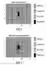 Fig. 03 - Defect mitigation in display panels