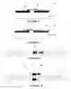 Fig. 03 - Environmentally sensitive reconfigurable antenna