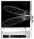 Fig. 21 - RFID conveyor system