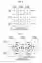 Fig. 06 - Liquid crystal device, driving method thereof, and electronic apparatus