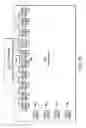 Fig. 08 - Liquid crystal module