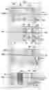 Fig. 01 - Driving circuit and driving method for an electrophoretic display
