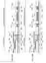 Fig. 55 - Semiconductor device and display device