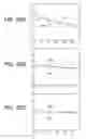 Fig. 19 - Movement analysis display apparatus and movement analyzing method