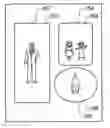Fig. 01 - Album creating apparatus, album creating method and program