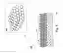 Fig. 05 - Pen for use by a printer to print colloidal crystal structures