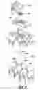 Fig. 06 - Ink jet print head