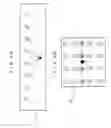 Fig. 07 - Solid-state imaging device