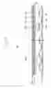 Fig. 09 - Backlight assembly and liquid crystal display apparatus having the same