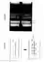 Fig. 03 - Liquid crystal display and method of manufacturing the same