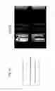 Fig. 08 - Liquid crystal display and method of manufacturing the same