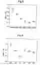 Fig. 03 - Method for designing custom lenses for improved vision and correspondence lenses