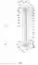 Fig. 08 - Vehicular rearview mirror elements and assemblies incorporating these elements
