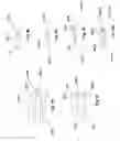 Fig. 22 - Vehicular rearview mirror elements and assemblies incorporating these elements