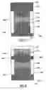 Fig. 06 - Fluid filled devices