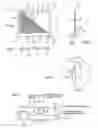 Fig. 04 - Light guide plate, including inclined surface, surface light source device and display using the same