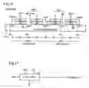 Fig. 08 - Nonvolatile semiconductor memory device