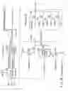 Fig. 17 - Semiconductor integrated circuit device wherein during data write a potential transferred to each bit line is changed in accordance with program order of program data