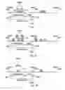 Fig. 07 - Bandwith management in a network