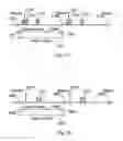 Fig. 15 - Bandwith management in a network
