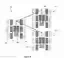 Fig. 06 - Intrusion detection system and method