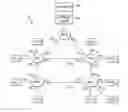 Fig. 01 - Bridged network spanning tree abnormality detection