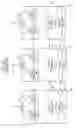 Fig. 03 - METHOD AND APPARATUS FOR INTERFACING AMONG MOBILE TERMINAL, BASE STATION AND CORE NETWORK IN MOBILE TELECOMMUNICATIONS SYSTEM