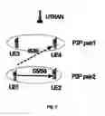 Fig. 06 - Method and apparatus for supporting direct link communication in TDD CDMA system