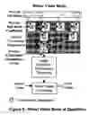 Fig. 09 - Tunable wavelet target extraction preprocessor system
