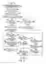 Fig. 07 - Secret information setting device and secret information setting method