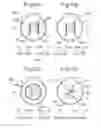 Fig. 08 - Sounding body unit for preventing occurrence of abnormal sounds