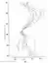 Fig. 02 - Automated image analysis