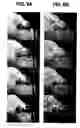 Fig. 08 - Fast image and video data propagation and blending using intrinsic distances