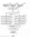 Fig. 03 - Precise grayscale character segmentation apparatus and method