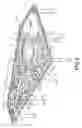 Fig. 10 - Stiffened table for a container handling machine