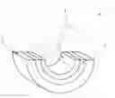 Fig. 01 - Bearing element