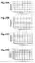 Fig. 09 - Dispersion-compensating system