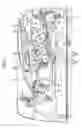 Fig. 02 - Developer cartridge, process cartridge and image-forming device