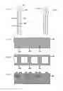 Fig. 12 - Printing paper