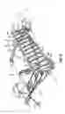 Fig. 04 - Ladder rack apparatus and method